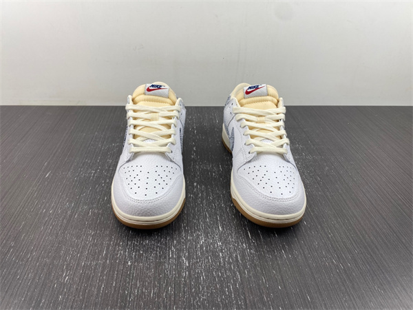 nike dunk low「washed De*1m」