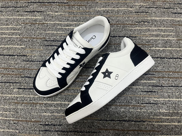 D10r sneaker 033