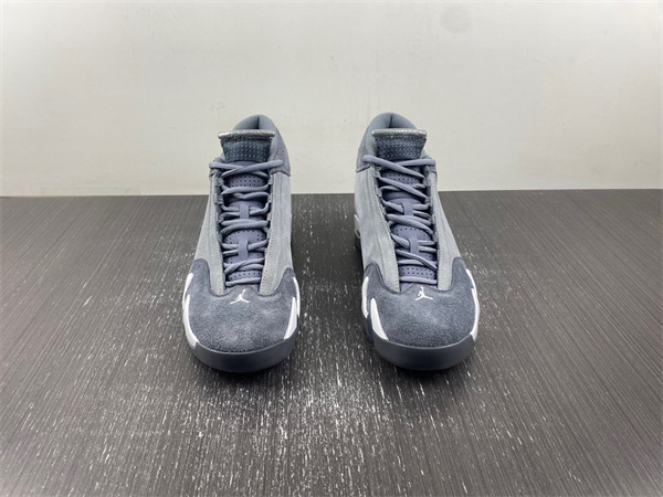 Air Jordan 14 FJ3460-012