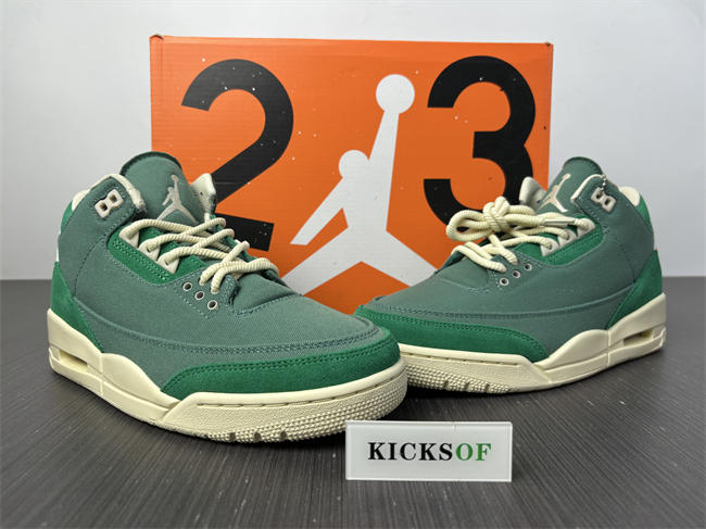 nina Ch**el abney x air jordan 3 og sp wmns fz7974-300