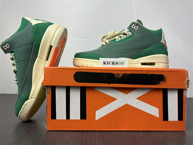 nina Ch**el abney x air jordan 3 og sp wmns fz7974-300