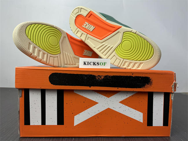 nina Ch**el abney x air jordan 3 og sp wmns fz7974-300
