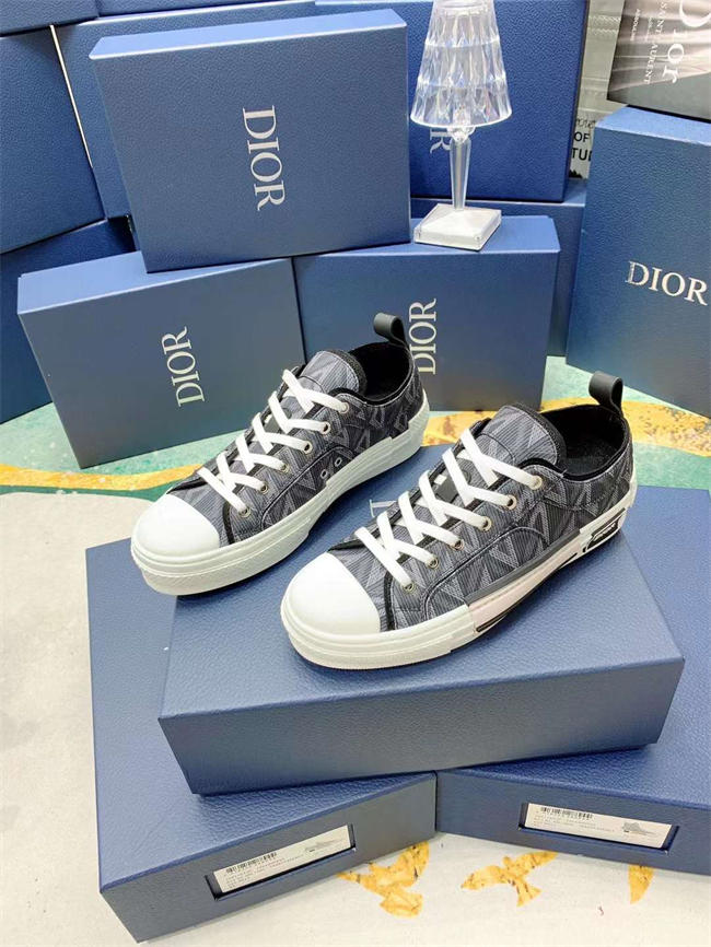 D10r b23 sneaker