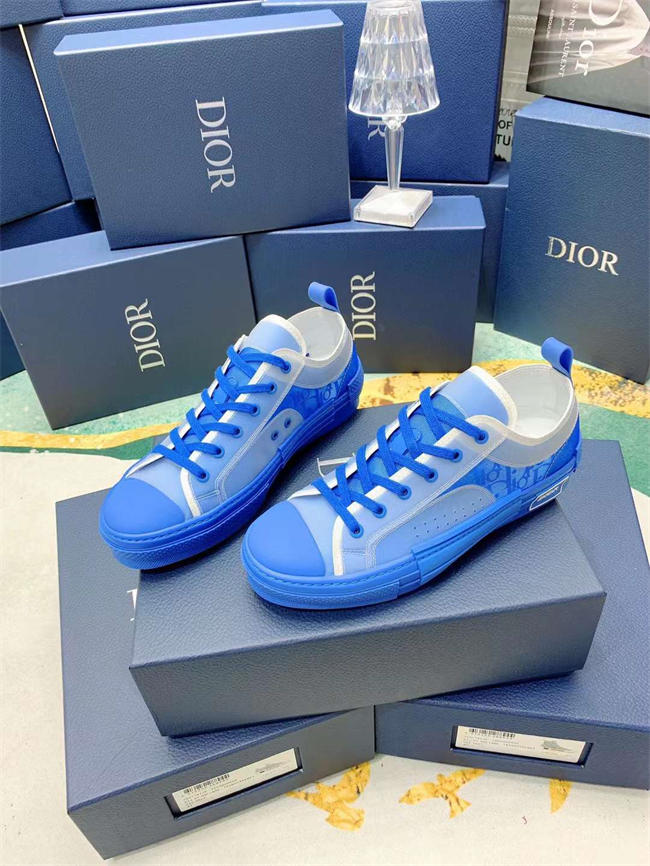 D10r b23 sneaker