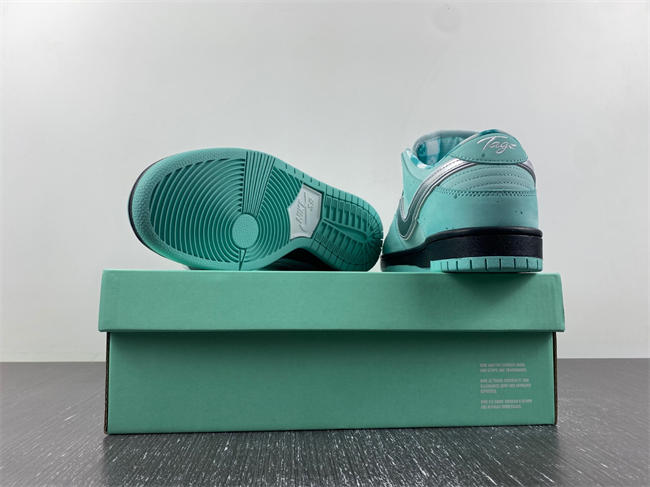 concepts x T*f*ny co. x nike sb dunk low bv1310-402