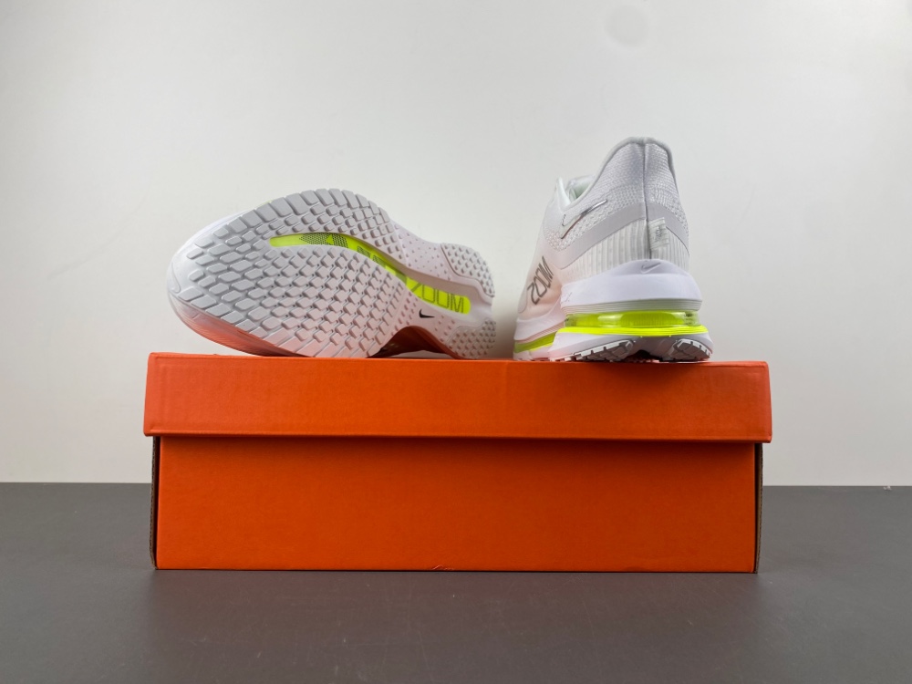 nike pegasus preM1vm  zoomx