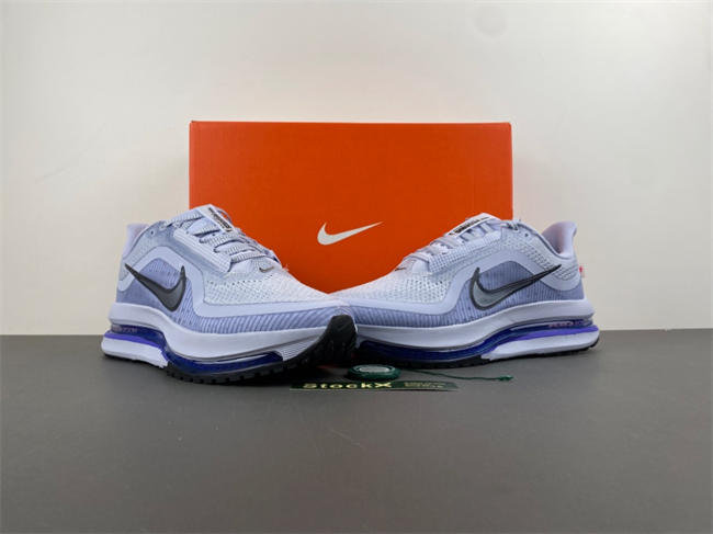 nike pegasus preM1vm 