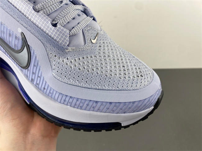 nike pegasus preM1vm 