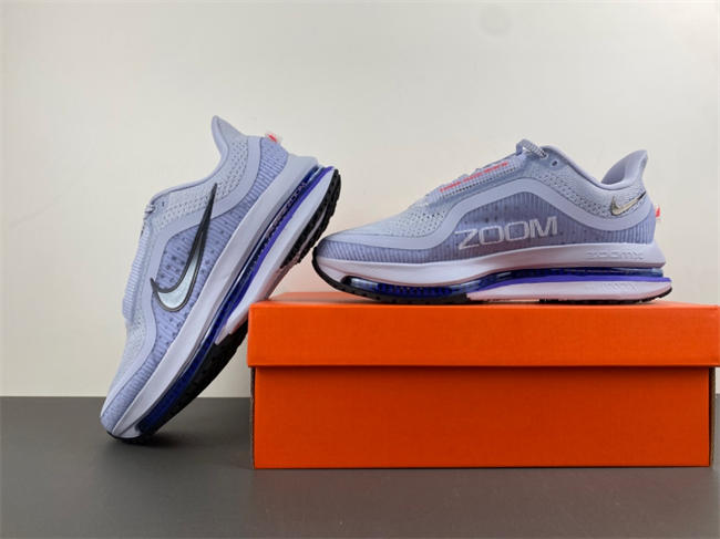 nike pegasus preM1vm 