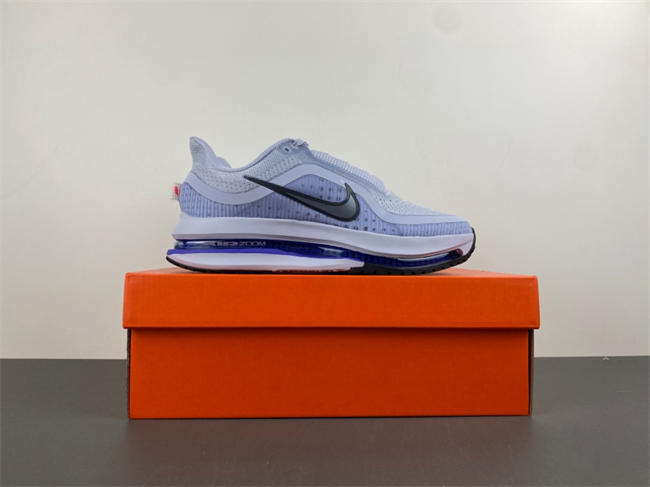 nike pegasus preM1vm 