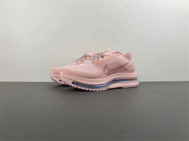 wmns pegasus preM1vm 