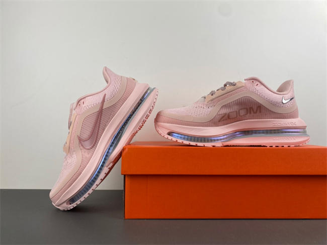 wmns pegasus preM1vm 