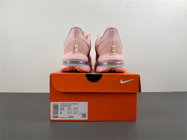 wmns pegasus preM1vm 