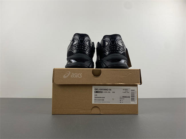 As1cs gel-kayano 14