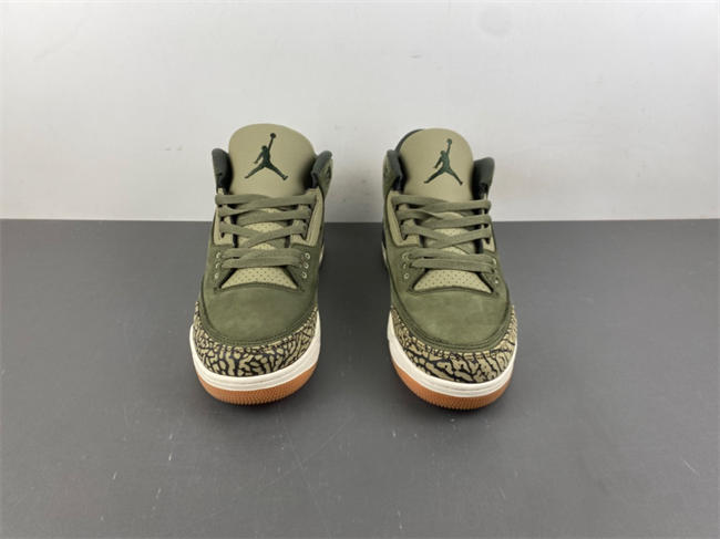 Air Jordan 3 “Family Affair”
